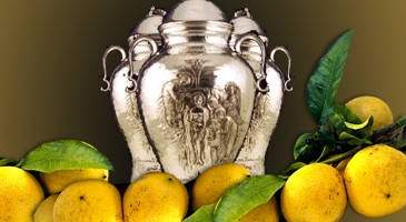 Il profumo del CRISMA