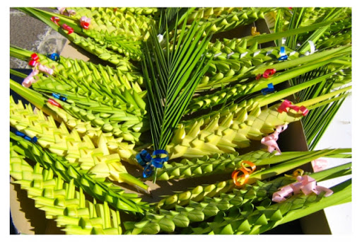 Domenica delle palme  (Cattedrale di Locri, s. Messa teletrasmessa – 4 aprile 2020)